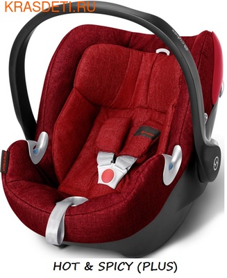  Cybex ATON Q (,  8)