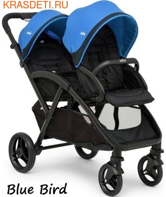  Joie Evalite Duo (,  2)