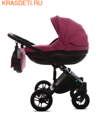  Noordline Stephania ECO (,  1)