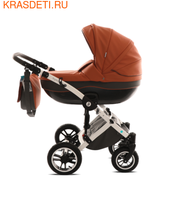  Noordline Stephania ECO (,  2)