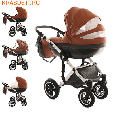  Noordline Stephania ECO (,  6)
