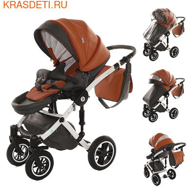  Noordline Stephania ECO (,  7)
