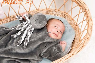   Nattou Soft Toy Octopus  (,  3)