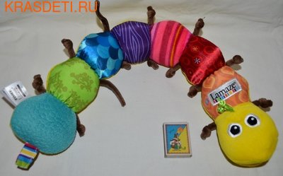 TOMY LAMAZE    61  (,  1)