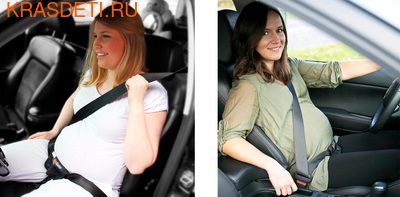BeSafe        Pregnant iZi Fix (,  1)