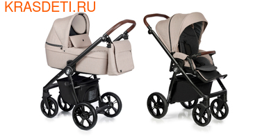 Roan  Roan Coss (,  11)