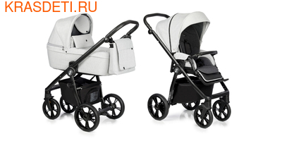 Roan  Roan Coss (,  12)