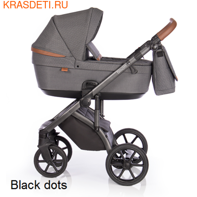  Roan Bloom (,  5)