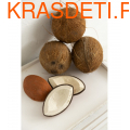 Oli&Carol    COCO THE COCONUT (,  2)