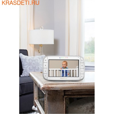 Motorola  MBP36XL (,  3)