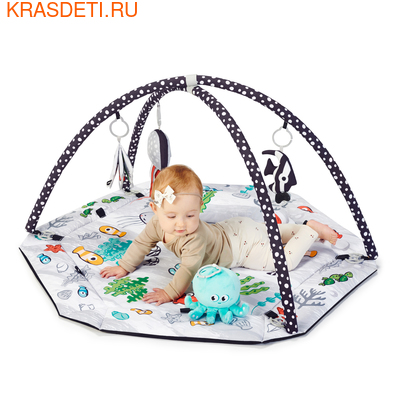   Kinderkraft Sea Land (,  5)