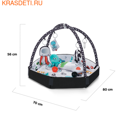  Kinderkraft Sea Land (,  8)