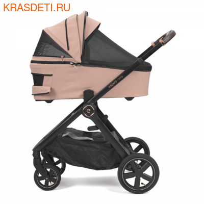 ESPIRO ONLY 2023 (,  7)
