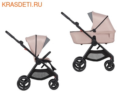 Anex iQ (,  4)