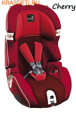  Roan SLF123 Isofix (,  3)