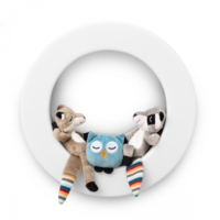 Zazu   , , 